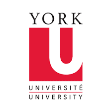 York University Logo