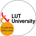 Professor in industrial engineering and management in sustainable energy systems