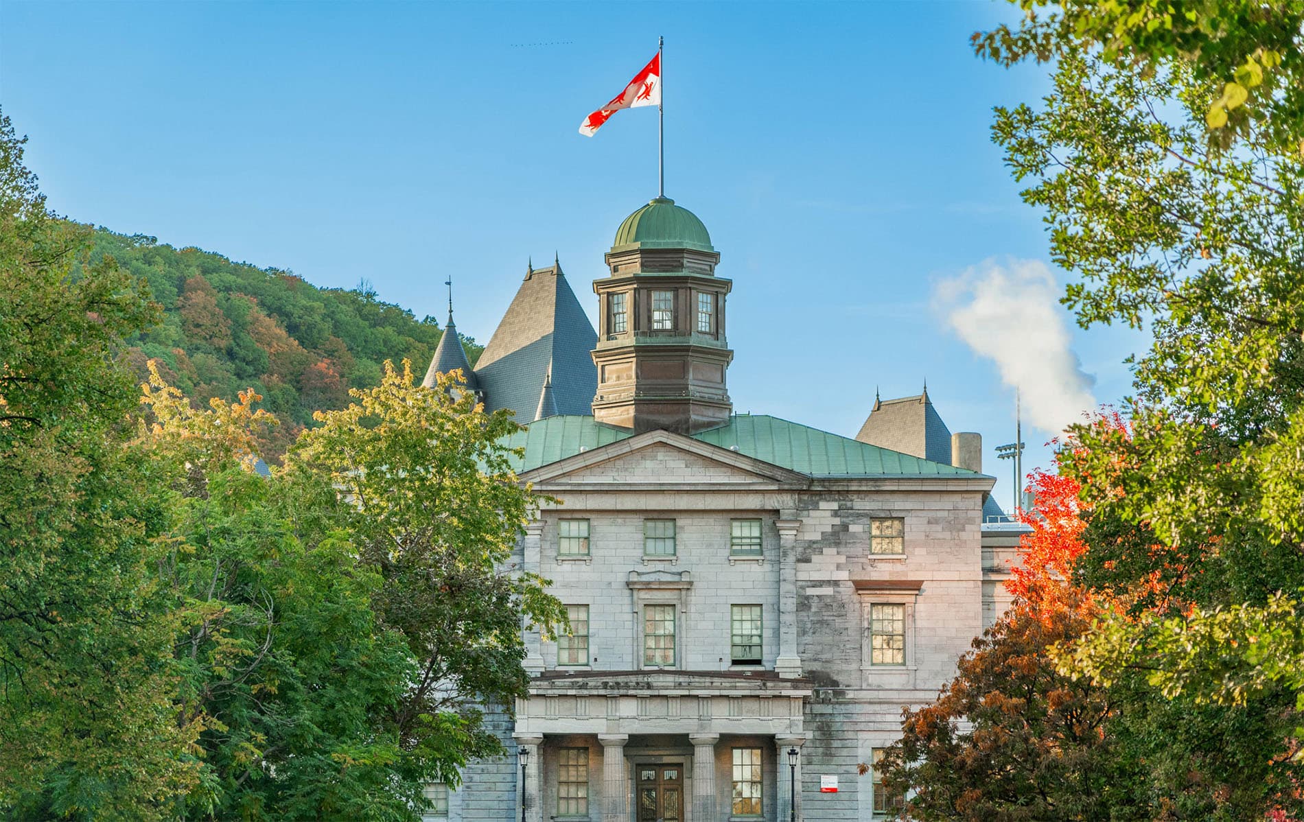 McGill University