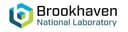 Brookhaven National Laboratory logo