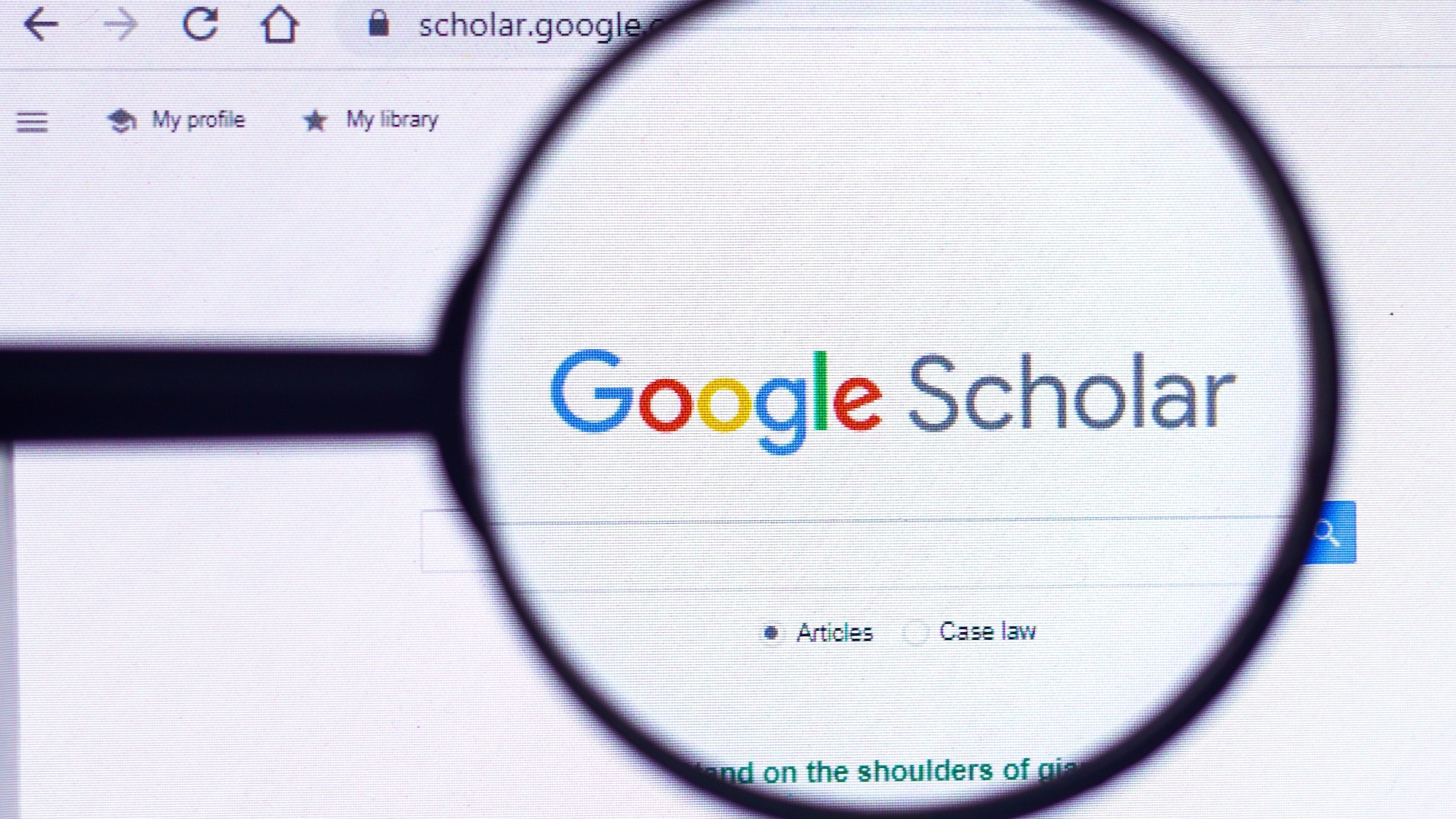 Google Scholar search interface